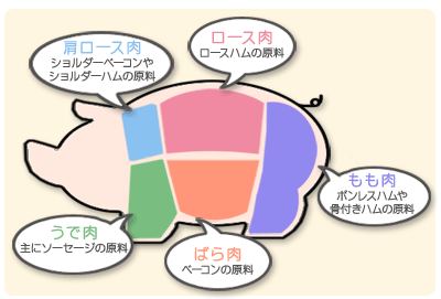 豚肉の種類と部位